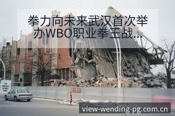 拳力向未来武汉首次举办WBO职业拳王战术变化与风险点分析 - 问鼎PGApp