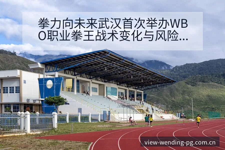 拳力向未来武汉首次举办WBO职业拳王战术变化与风险点分析 - 问鼎PGApp